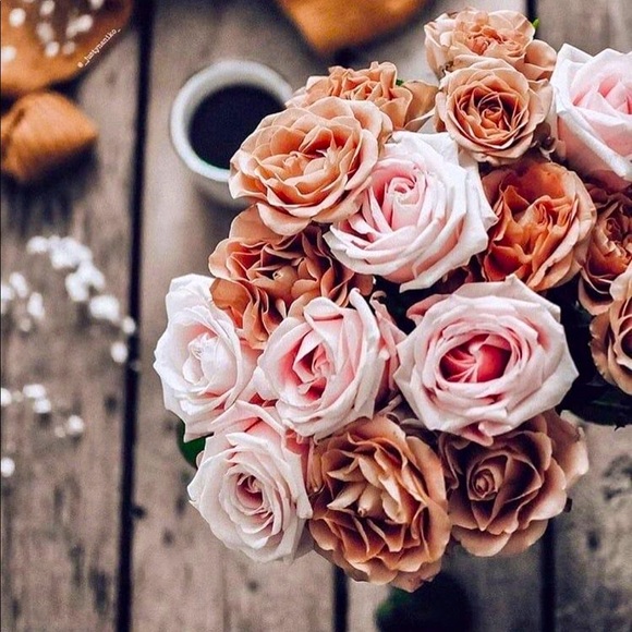 Meet your Posher, Chrissy - Picture 1 of 1